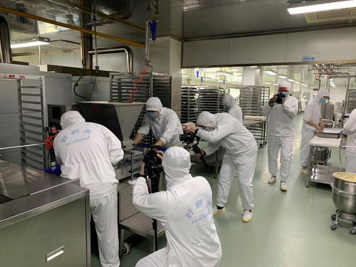 餐桌上的食品安全无小事 沈阳绿色工厂探寻神秘生产线与互联网安全之路